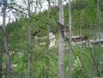 Foerderband Holz11