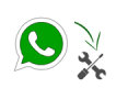 Whatsapp01